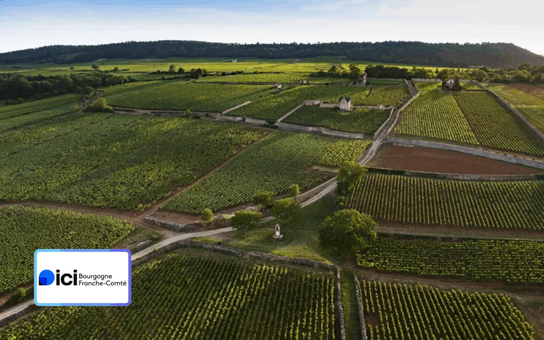 Dix ans de Climats de Bourgogne à l’UNESCO : l’émission événement à ne surtout pas manquer ce samedi sur France 3